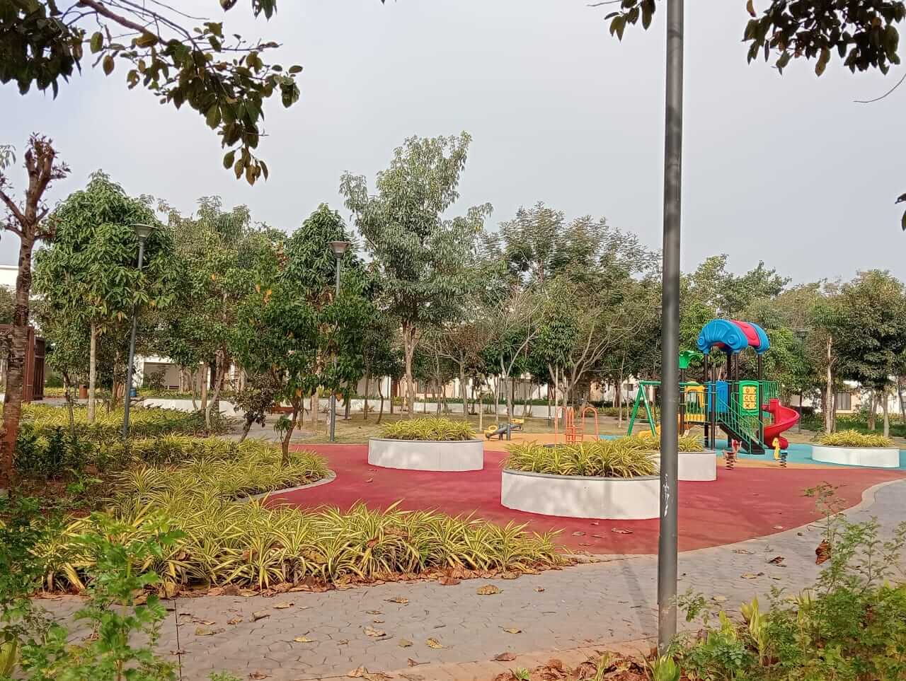 Park Area 1