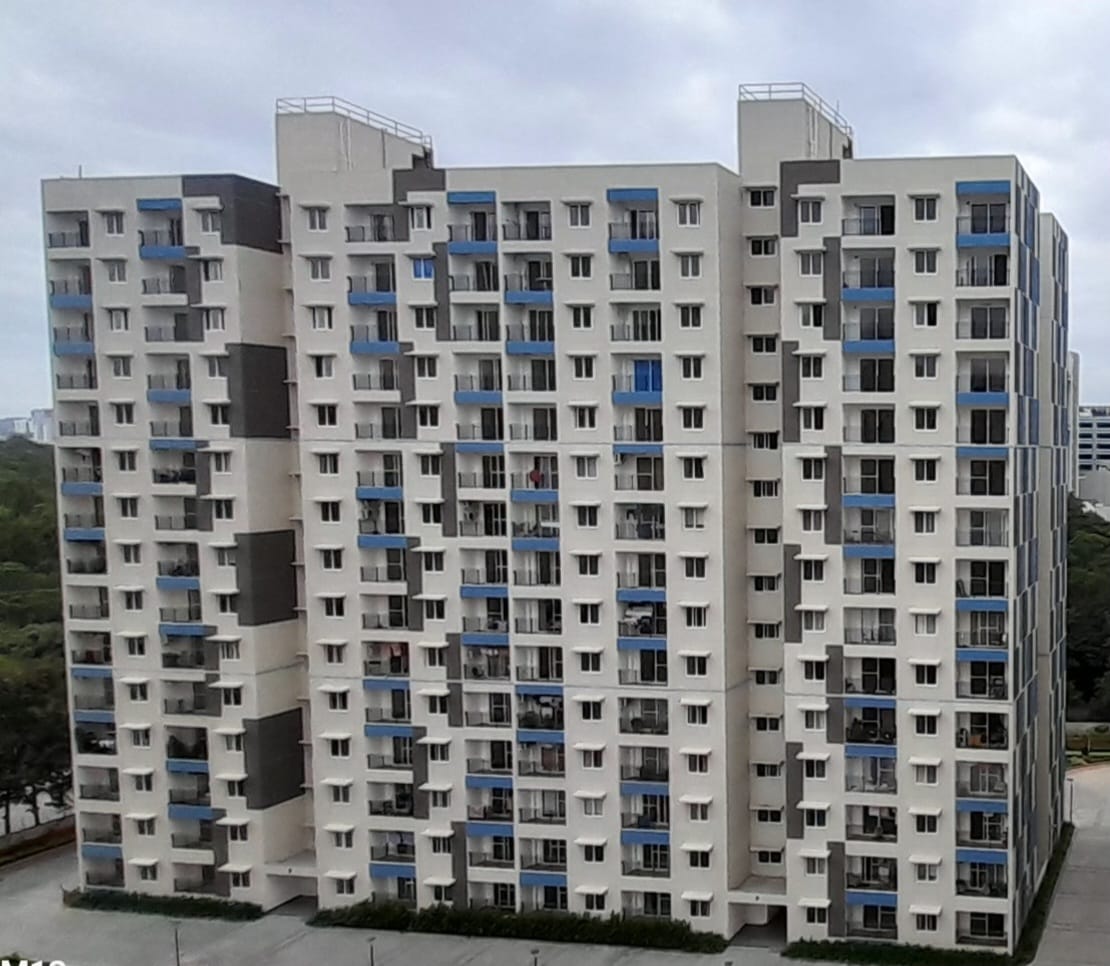 E & F Blocks