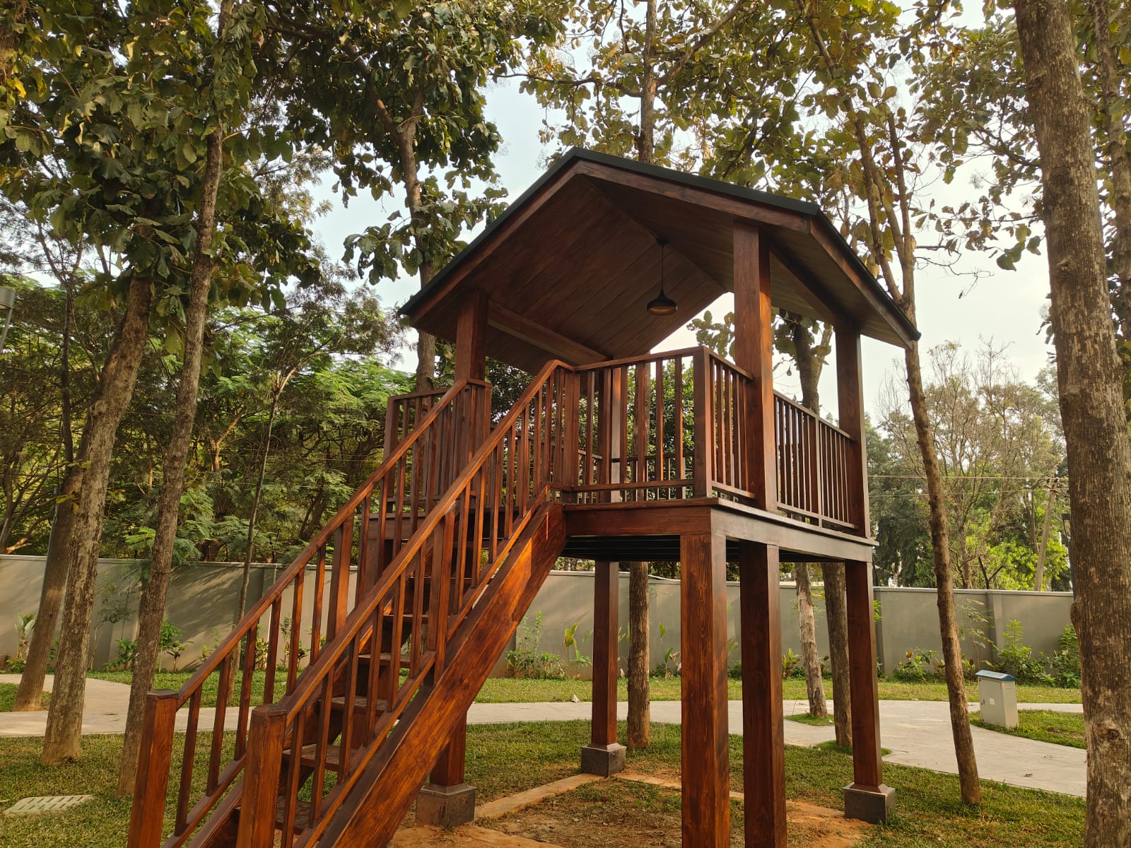 Tree House