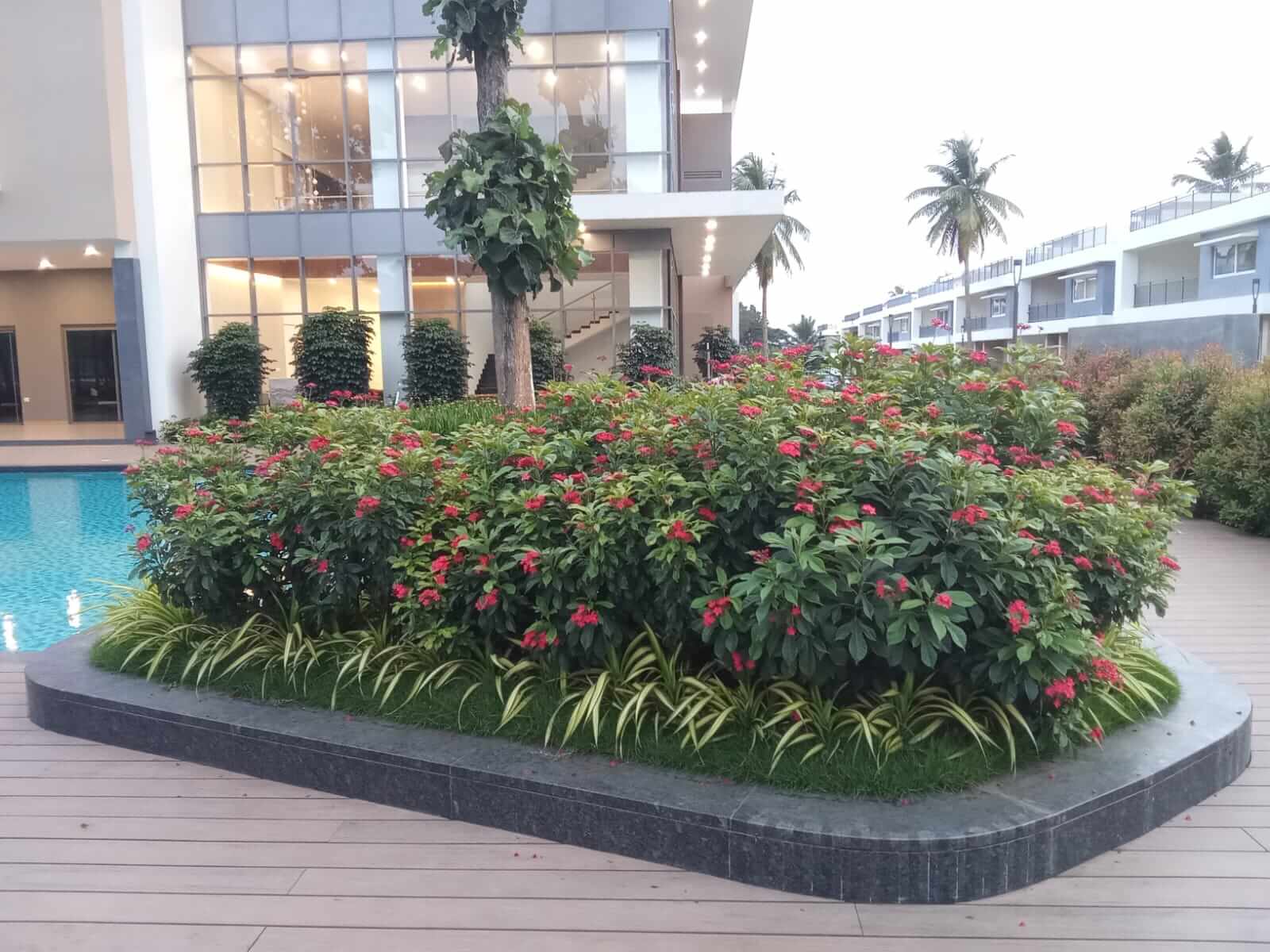 Club House & Swimming Pool Area